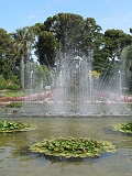 Villa Ephrussi de Rotschild - Jardins (25)